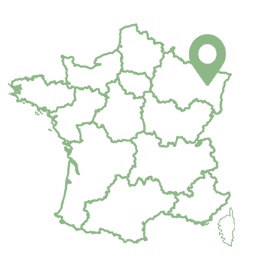 Elagage Alsace Lorraine Grimpeur des bois