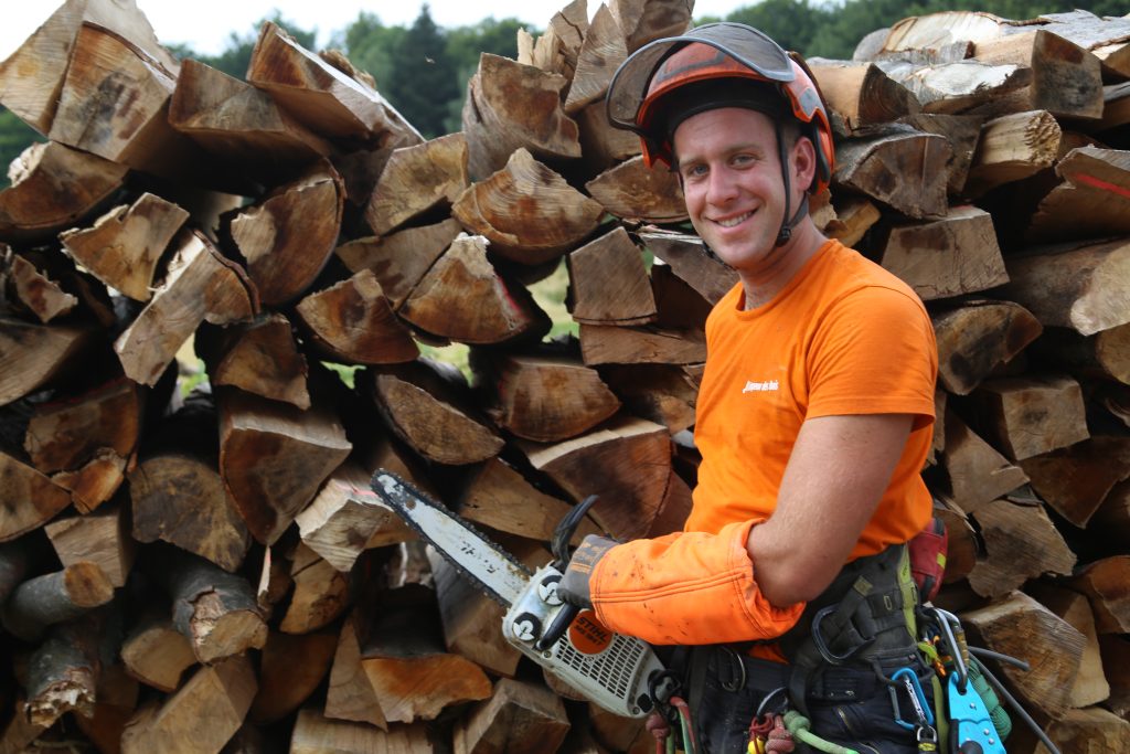Elagage Alsace Lorraine Grimpeur des bois